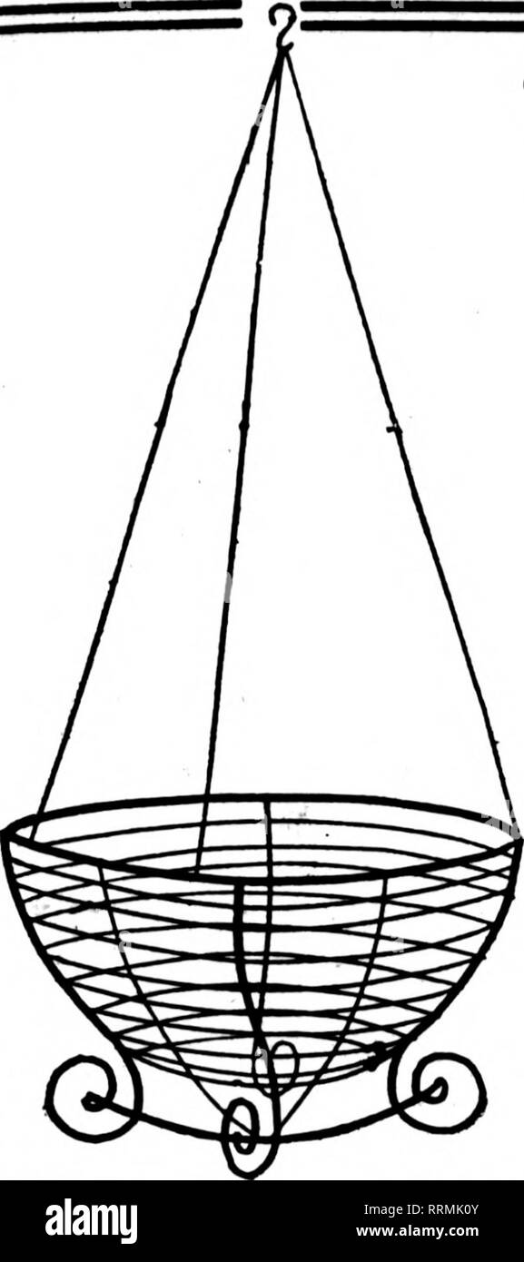 . Fioristi' review [microformati]. Floricoltura. Giugno 21, 1917. I fioristi^ Rassegna 33. Filo nei cestini appesi non è dei più economici ma il miglior fatto bene la natura dipinta, legate con filo zincato 6 alla dozzina di tasso, 50 a 100 rate di 8 pollici per dozzina, $1.25; 10 pollici ' " 1,60; 12 pollici " 1,75; 14 pollici , " 2,25; 16 pollici " 3.50; 18 pollici " 5.00; per 100, $ 8.00 10.00 12.00 16.00 22.00 35.00 foglio verde muschio verde lungo i fogli per appendere cesti per fascio... $1. 00 6 fasci... $4. 75 10 fasci... $9. 00 25 fasci... $21. 00 C. E. CRITCHELL WMesde Cnunimn Himt 15 EAST TERZA ST. CI Foto Stock