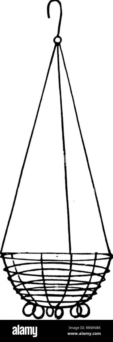 . Fioristi' review [microformati]. Floricoltura. Filo nei cestini appesi non è dei più economici ma il miglior fatto bene la natura dipinta, legate con filo zincato 6 alla dozzina di tasso, 50 a 100 rate di 8 pollici per dozzina, $1.25 10 pollici, 12 pollici, 14 pollici, 16 pollici, 18 pollici doze n, $1.25; per 100. $ 8.00 1.50; 10.00 1.75; 12.00 2.26; 16.00 3.50; 22.00 5.00; 35.00 foglio verde muschio verde lungo i fogli per appendere cesti per fascio... $1. 00 5 fasci... $4. 75 10 fasci... $9. 00 25 fasci... $21. 00 C. E. CRITCHELL Whelenle Commitiiin norirt 15 EAST THIRO ST. Di CINCINNATI. 0. Menzionare il Bwlew wh"n si scrive. Migliori qualit Foto Stock