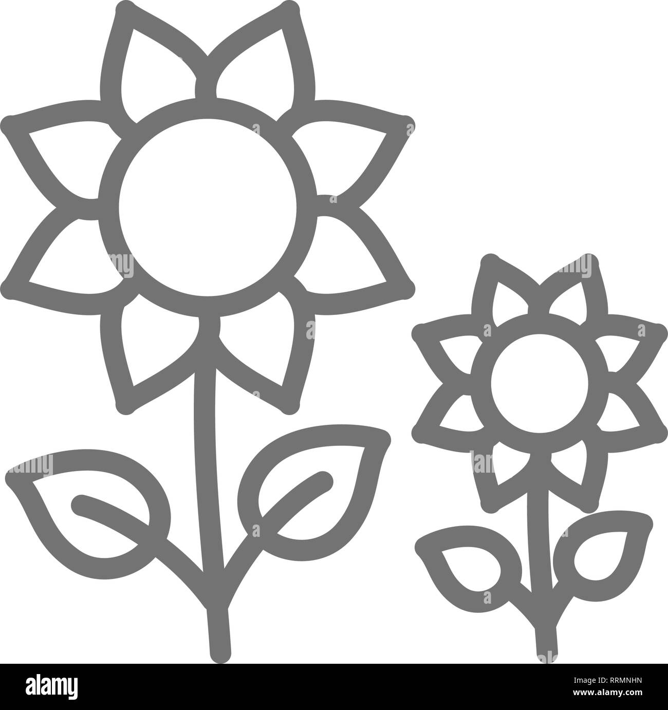 Fiori di girasole icona linea. Illustrazione Vettoriale