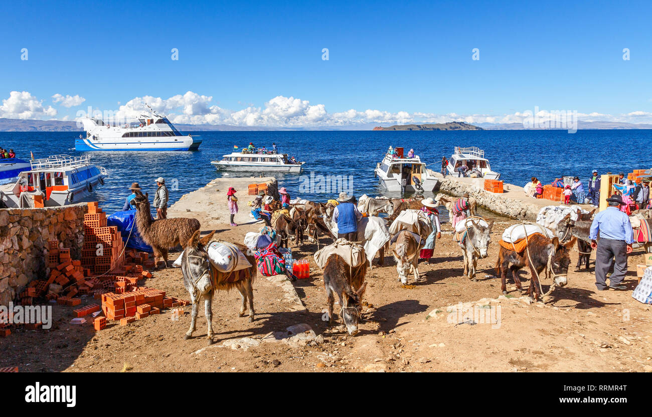 Contadini boliviano arrivati con il traghetto, riuniti sulla riva del lago Titicaca con carichi pesanti asini in primo piano, stretto di Tiquina, Bo Foto Stock