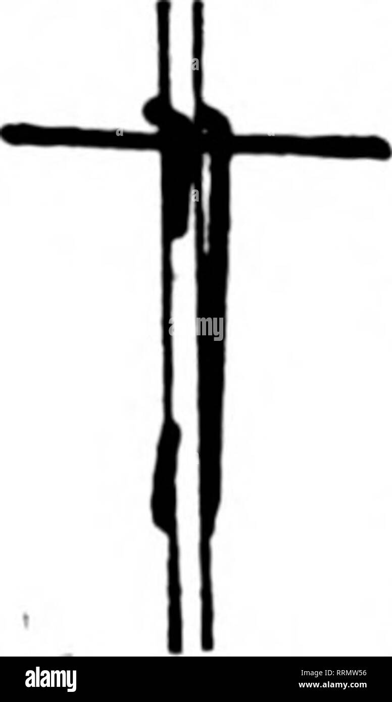 . Fioristi' review [microformati]. Floricoltura. La figura sopra mostra la pianta di Springfield Floral Co., della molla- campo, N. J.-uno dei nostri clienti ai quali facciamo riferimento per qualsiasi informazione si può desiderare circa Metropolitan serre. Che cosa abbiamo fatto per gli altri, siamo in grado di fare per voi. Mettete i vostri problemi di serra fino a noi andare ovunque in U. S. a presentare i piani e i prezzi. Materiale Hetropoutan Co. La tecnologia brevettata di serre 1896-1410 Metropolitan Ave. BROOKLTN, N. Y. menzionare il riesame quando scrivi. Non aspettare i ritardi sono pericolose inverno è venuta e la creazione di condizioni saranno meno f Foto Stock