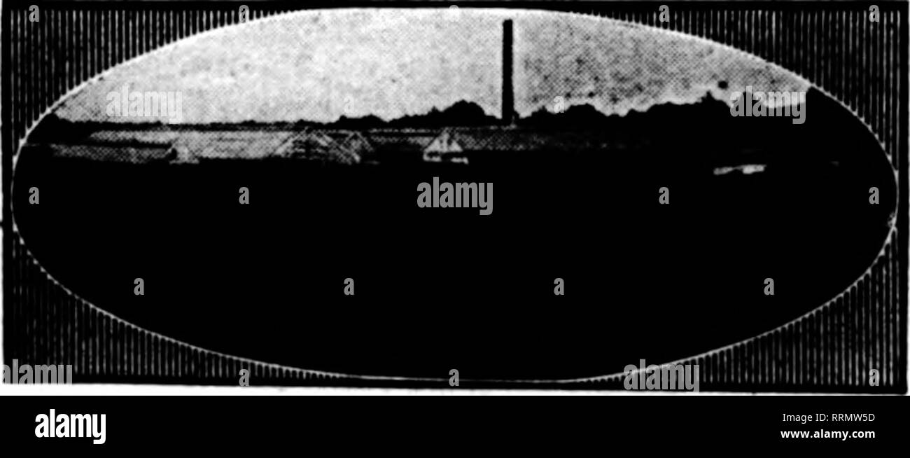 . Fioristi' review [microformati]. Floricoltura. niiiiiimiiiiiiiii iiiiiiiiiiiiiiiiiiiiiiiiiiiiiiiiiiiiiiiiiiiiiiiiiiiiiiiiiimiiiiiiiiiiiiiimiiiiiiiiiiiiiiiiiiiiiiiiiiiiiiiiiiiiiiiiiiiiiiiiiiiiiiiiiiiiii. La figura sopra mostra la pianta di Springfield Floral Co., della molla- campo, N. J.-uno dei nostri clienti ai quali facciamo riferimento per qualsiasi informazione si può desiderare circa Metropolitan serre. Che cosa abbiamo fatto per gli altri, siamo in grado di fare per voi. Mettete i vostri problemi di serra fino a noi andare ovunque in U. S. a presentare i piani e i prezzi. Materiale Hetropoutan Co. La tecnologia brevettata di serre 1896-1410 Foto Stock