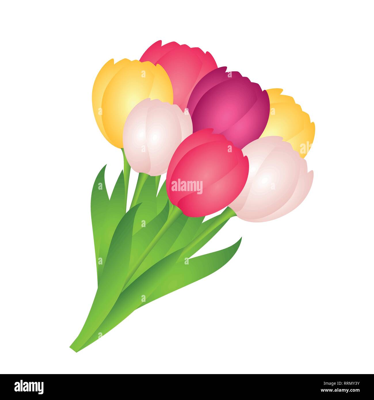 Bouquet di tulipani colorati su sfondo bianco illustrazione vettoriale EPS10 Illustrazione Vettoriale