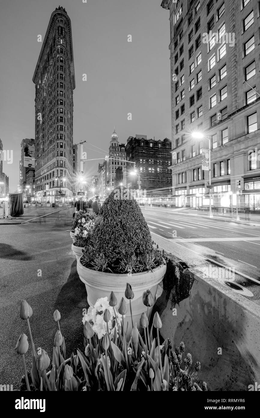 Stati Uniti d'America, American, New York Manhattan ,Flatiron District, Madison Square Park, Flatiron Building, Foto Stock
