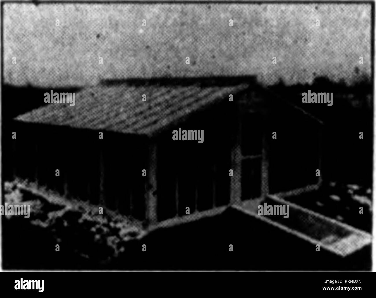 . Fioristi' review [microformati]. Floricoltura. Il saggio corso quando si prevede la costruzione di una serra, il saggio corso è per evitare di stravaganza e ritardo, assumendo un organizzazione che offre economia e velocità. Il nostro passato è un libro aperto, così è il nostro presente e vi invitiamo ad in- gate entrambi. Mettete i vostri problemi di serra fino a noi. Dobbiamo andare ovunque in U. S. a presentare i piani e i prezzi. Materiale NETROrOLITAN CO. 1896-1410 Metropolitan Ave. BROOKLYN, N. Y. menzionare il Rerlew quando joa scrivere.. Piccolo, ha reso le serre ricoperte Parte superiore e i lati con. Si prega di notare che queste immagini ar Foto Stock
