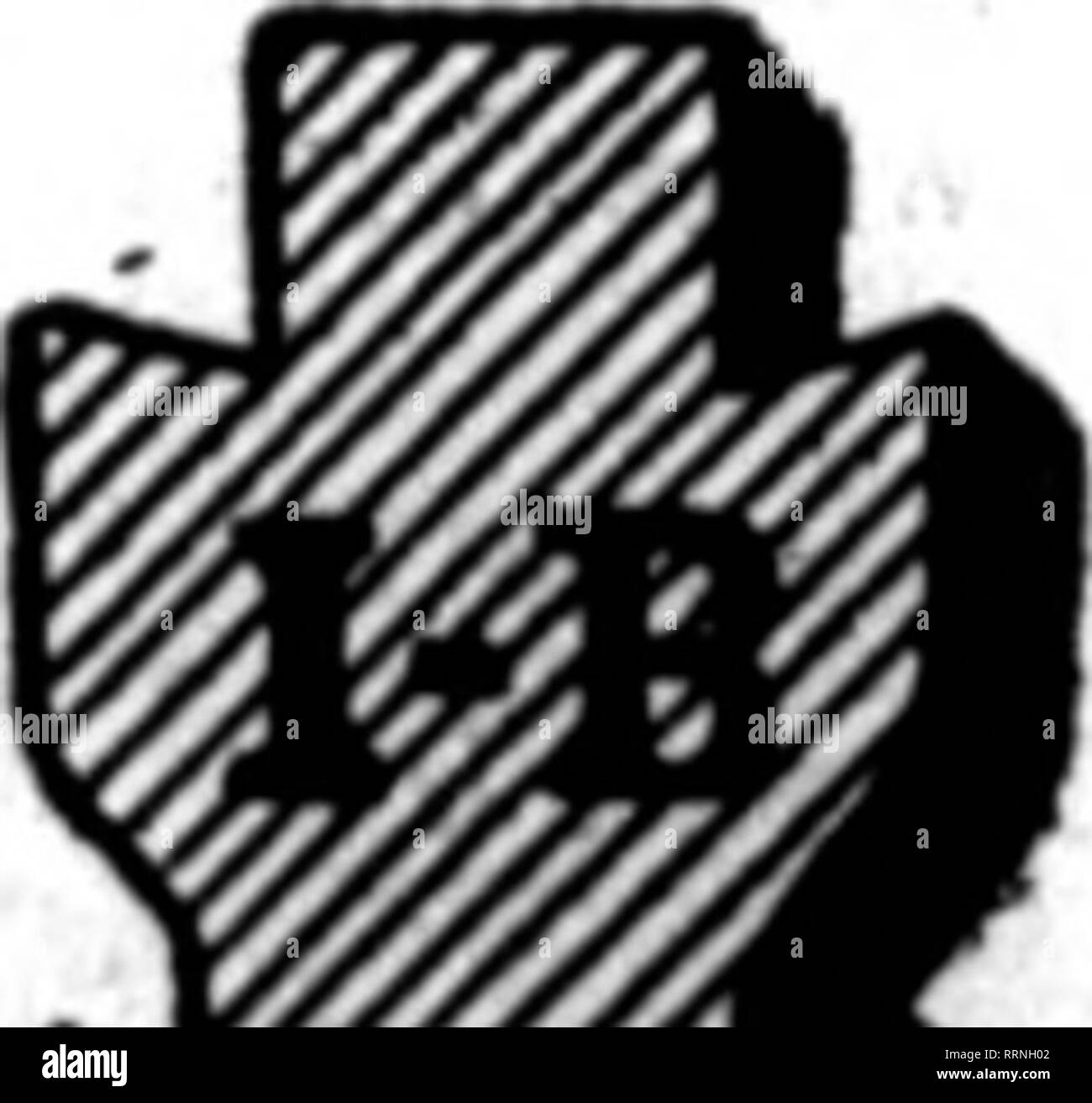 . Fioristi' review [microformati]. Floricoltura. Vista interna dell'intero telaio in ferro METROPOLITAN serra brevettato, eretto per il sig. Wm. Nause di Huguenot Park, Staten Island, N. Y. Il Metropolitan brevettato .gronda e sottoscocca sono state incluse nelle nostre specifiche. Ma questi sono semplicemente elementi occasionali. Il fattore di maggiore importanza è la metropolitana- politan organizzazione stessa. Perché, nonostante le molte possibili miglioramenti fondamentali che abbiamo fatto in serra di opere edili, riscaldamento ed economica- principale concerne il mantenimento, non abbiamo mai promettere o intraprendere qualsiasi cosa che non siamo assolutamente cer- tain possiamo eseguire t Foto Stock