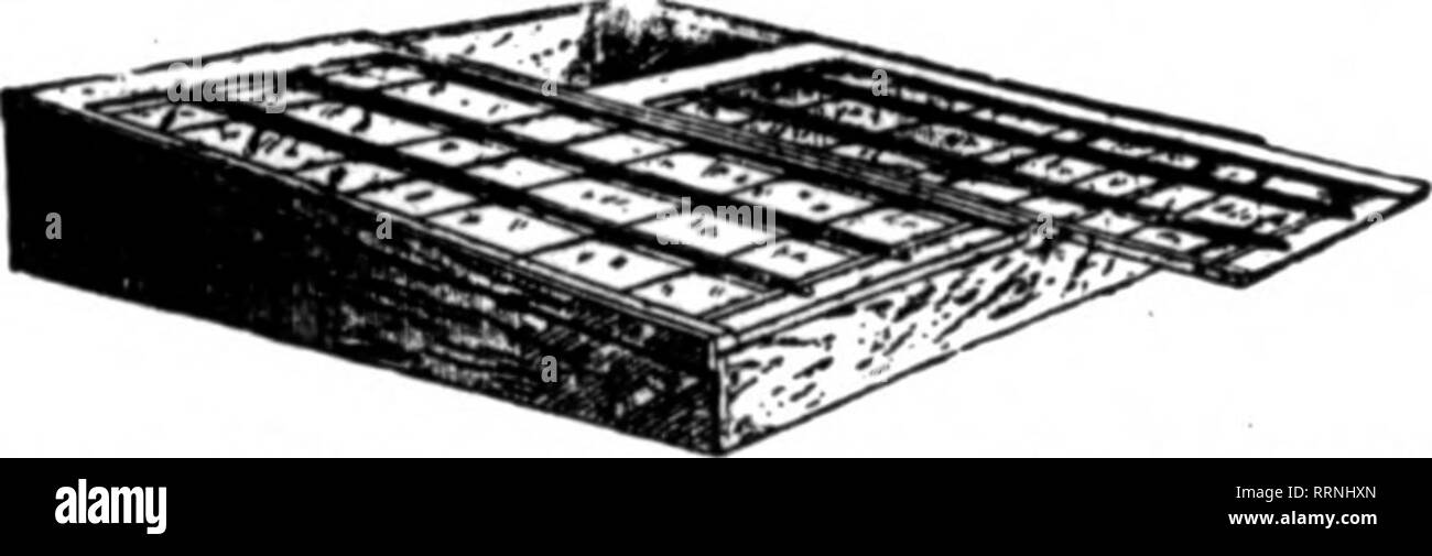 . Fioristi' review [microformati]. Floricoltura. Serre che resistono alla prova del Metropolitan organizzazione per anni ha dimostrato la eflBciency dei suoi metodi e stile di costruzione. La stima in. w^hich la sua "servizi^ sono tenuti liy coltivatori in tutto il paese è evidente dal nostro continuo .la crescita. Mettere il vostro rROBLENS serra fino a noi. Dobbiamo andare ovunque in U. S. a presentare i piani e i prezzi. Netropolitan Nateioal Co. 1896-1410 Metropolitan Ave. BROOKLYN, N. T. menzionare Th" ItcTlew wben yon scrivere. ISQUAREIDIRTIBANPS] Vedere R.amsburg"8 Visualizzazione annuncio sul ritmo 98 e inviare posta per il p. Foto Stock