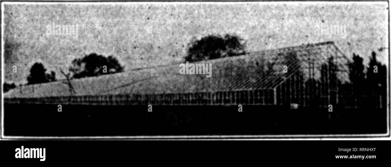 . Fioristi' review [microformati]. Floricoltura. Prezzi del tubo ^ a., 2o-ft. lunghezze, ciascuno, $4.00 '^., 25-ft. lunghezze, ogni 4,50 le spese di spedizione. Contanti con ordine.. Serre che resistono alla prova del Metropolitan organizzazione per anni ha dimostrato la eflBciency dei suoi metodi e stile di costruzione. La stima in. w^hich la sua "servizi^ sono tenuti liy coltivatori in tutto il paese è evidente dal nostro continuo .la crescita. Mettere il vostro rROBLENS serra fino a noi. Dobbiamo andare ovunque in U. S. a presentare i piani e i prezzi. Netropolitan Nateioal Co. 1896-1410 Metropolitan Ave. BROOKLYN, N. Foto Stock