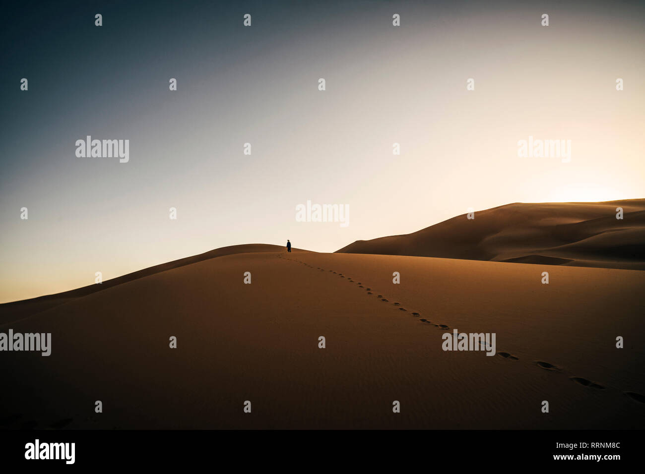 Orme nella sabbia del deserto remoto, Sahara, Marocco Foto Stock