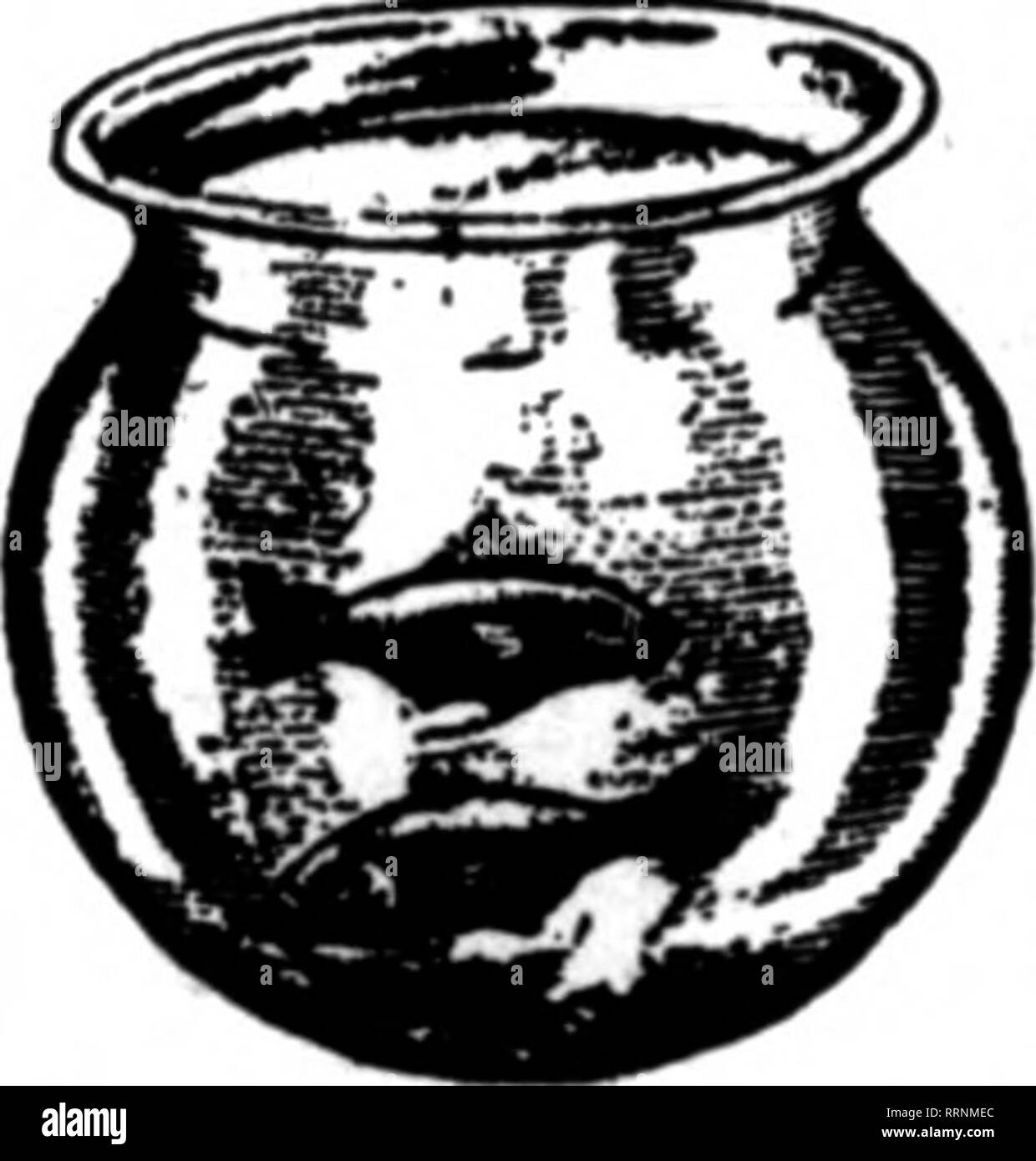 . Fioristi' review [microformati]. Floricoltura. Menzionare Th" RtTttnr wb"n jon scrivere. Miss Katharine Seibert, di B. F. Barr &AMP; Co., e il sig. Savage arredate de- luminose musica vocale. Il tedesco yodel song da Alphonse Peters, gar- dener a Grove Locher, era molto ap- preciated. Le selezioni di Miss Amanda Landis, dell'eloquio de- appartamento di Millersville membro scuola normale, erano molto divertito. La sua Lan- caster county dialetto olandese versione di "Stonewall Jackson e Barbara Frietchie", soprattutto, sarà lunga re- elementi da tutti coloro che hanno avuto il piacere di ascoltarla. Il presidente B. F. Barr, Foto Stock