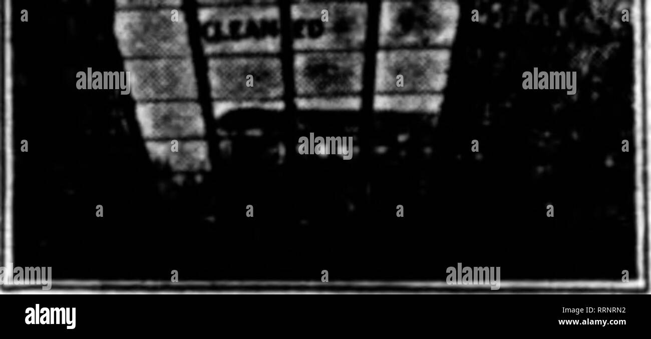 . Fioristi' review [microformati]. Floricoltura. Un invito q uando frequentando il Chicago Grand Floral B'ESTI- val non mancherà di familiarizzare con noi. I nostri rappresentanti saranno in costante presenza presso il Colosseo e una conferenza per quanto riguarda i problemi della vostra presente impianto di serra si rivelerà più inter- esting ed istruttivo. Siete cordialmente invitati a visitare la nostra sede a Des Plaines (nei pressi di Chicago), dove nel nostro più modernamente attrezzate fonderia, negozio di macchina e legno mulino, molti importanti lavori di Serra sono ora in fase di preparazione. È un dovere verso se stessi a cogliere questa opportunità Foto Stock