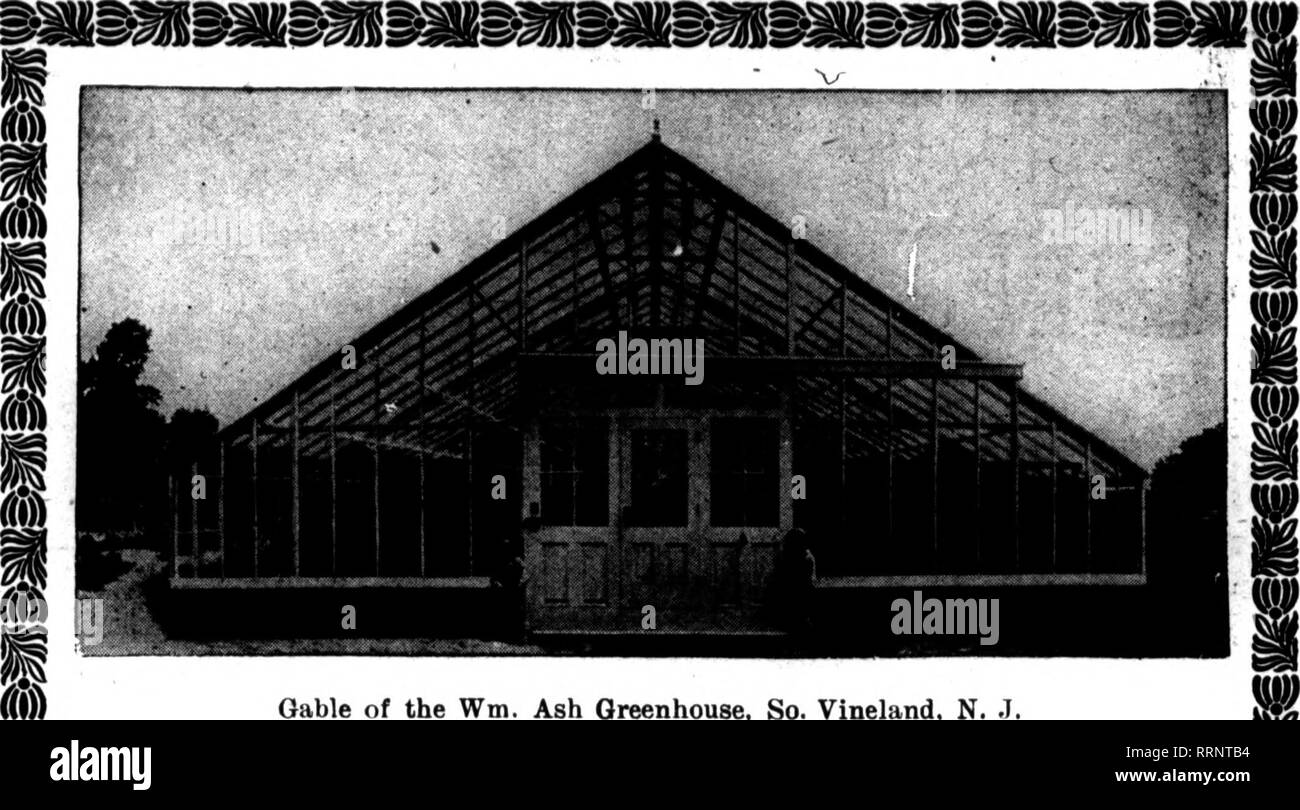 . Fioristi' review [microformati]. Floricoltura. 112 fioristi"Review Jandabx 28, 191B. ROCHESTEB, N. T. Il mercato. Keports dal commercio all'ingrosso ap- pera di essere abbastanza soddisfacente. Business è stata buona, nonostante il fiudden fluttuazioni della temperatura. Con l'eccezione di rose, che hanno ridotto in modo considerevole, rimane una linea completa di buon brodo. I prezzi sono migliori e sono più nel mantenere- ing con quello che dovrebbe essere. Vi è una giusta domanda di bellezze. Sunburst, Shawyer, Cardinale e Ward sono ancora i nostri migliori venditori. I GAROFANI sono brevi- ening fino abbastanza un po', per Foto Stock