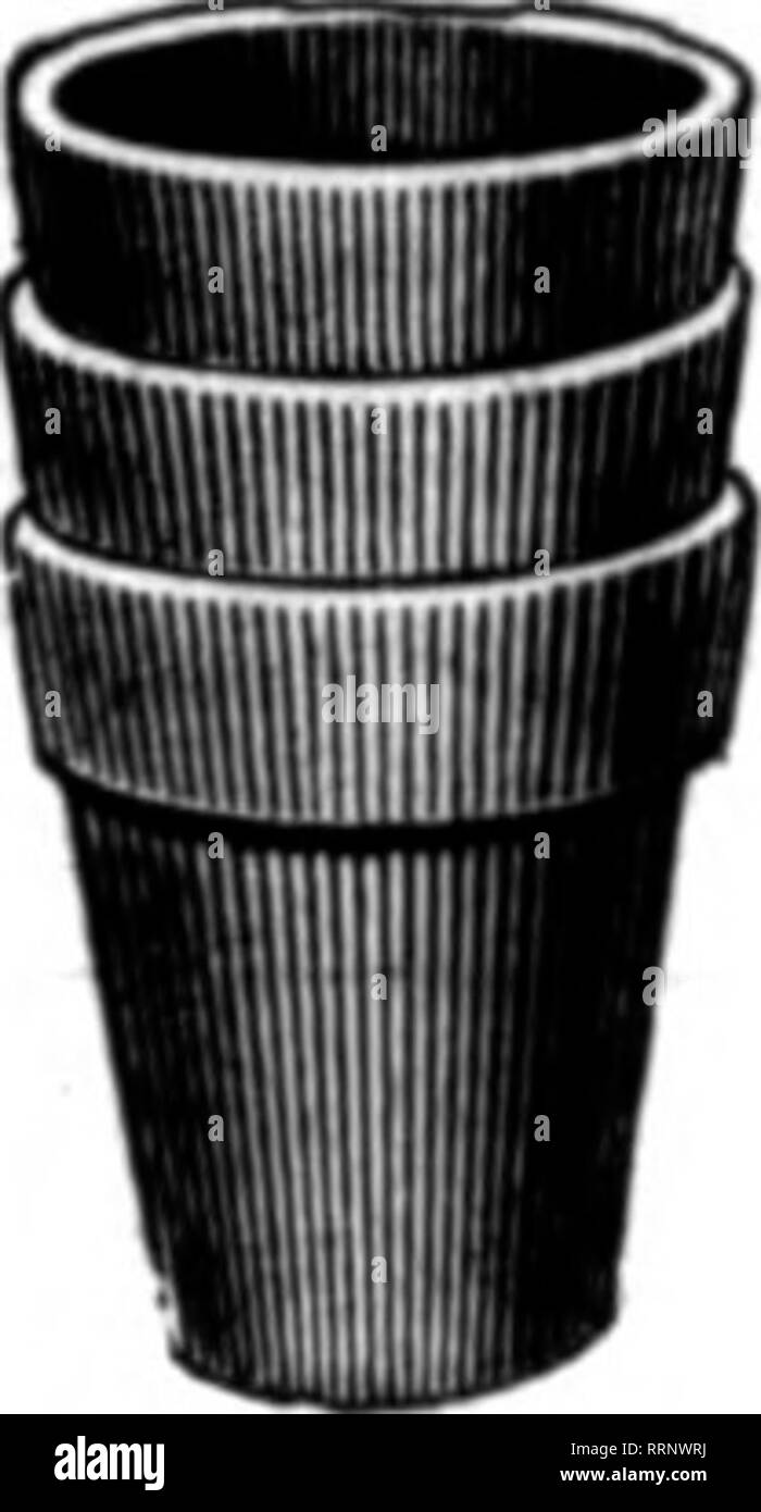 . Fioristi' review [microformati]. Floricoltura. BLAKE leva del fermaglio per Roeefi, Catmatlons, ecc.; fas- Dieci pali, fili trasversali, ecc. Non hanno mai slittamento e un grande sav- ing sia di tempo che di denaro. Prezzo - $1.40 per l-OOO S,000 a $1.26 per 1000 10.000 a 1.00 per 1000 consegnata gratuitamente. Campioni gratuiti. B. S. BLAKE &AMP; figlio 29 Federal San, Rochester, N. Y. menzionare il riesame quando yon scrivere. Ottenere I NOSTRI PREZZI SUL FILO ZINCATO picchetti di rose e filo di legatura produttori della pianta modello di supporti per i garofani, dalie, bagliore dorato, Peonie. Crisantemi e pomodori. Prato recinto, letto di fiori di protezione. Trel Foto Stock