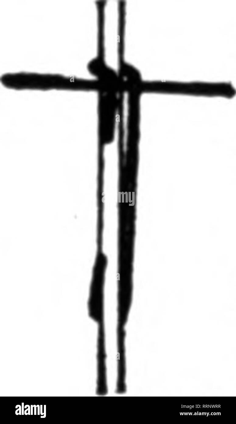 . Fioristi' review [microformati]. Floricoltura. BLAKE leva del fermaglio per Roeefi, Catmatlons, ecc.; fas- Dieci pali, fili trasversali, ecc. Non hanno mai slittamento e un grande sav- ing sia di tempo che di denaro. Prezzo - $1.40 per l-OOO S,000 a $1.26 per 1000 10.000 a 1.00 per 1000 consegnata gratuitamente. Campioni gratuiti. B. S. BLAKE &AMP; figlio 29 Federal San, Rochester, N. Y. menzionare il riesame quando yon scrivere. Ottenere I NOSTRI PREZZI SUL FILO ZINCATO picchetti di rose e filo di legatura produttori della pianta modello di supporti per i garofani, dalie, bagliore dorato, Peonie. Crisantemi e pomodori. Prato recinto, letto di fiori di protezione. Trel Foto Stock