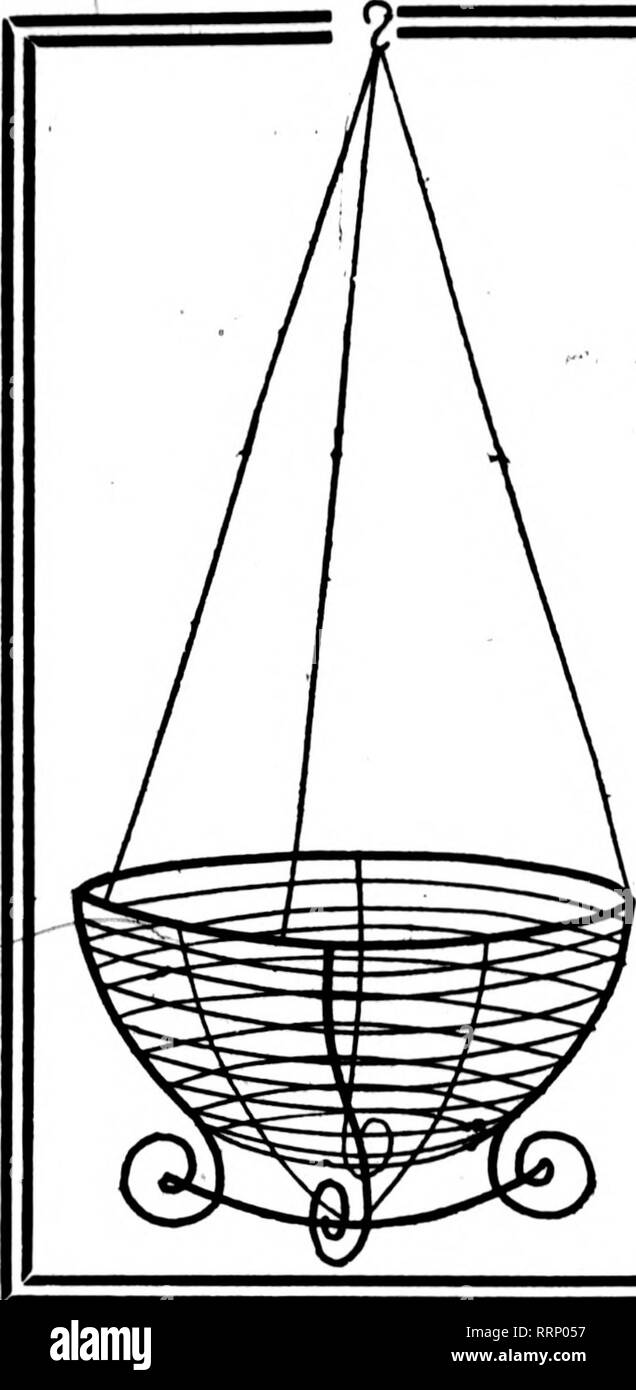 . Fioristi' review [microformati]. Floricoltura. Maggio 10, 1917. I fioristi^ Rassegna 45. Filo nei cestini appesi non è dei più economici ma il miglior ben M^t^e tipo ^ dipinto, legate con filo zincato 6 alla dozzina di tasso, 50 a 100 rate 8 pollici .per dozzina, $1.25; per 100, $ 8.00 10 pollici " 1.50; " 10.00 12 pollici " 1,75; " 12.00 14 pollici " . 2.26; " 16.00 16 pollici .... " 3,60; " 22.00 18 pollici '• 6.00; " 35.00 foglio verde muschio verde lungo i fogli per appendere cesti per fascio... $1. 00 5 fasci... $4. 75 10 fasci... $9. 00 25 fasci... $21. 00 C. E. CRITCHELL Whol Foto Stock