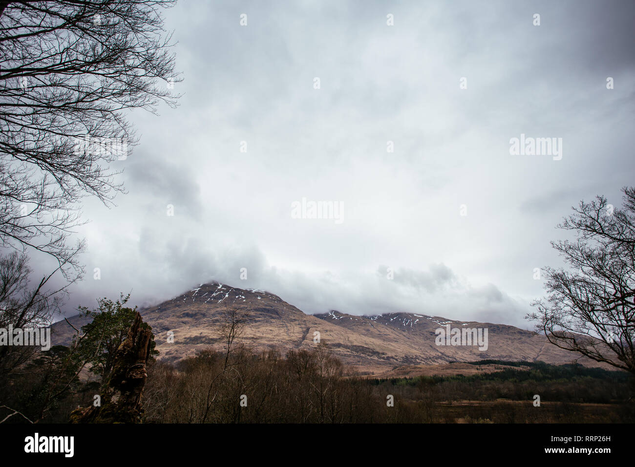 Glen Creran Woodland Scozia Scotland Foto Stock