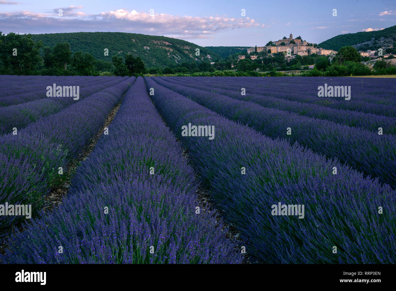 L'Europa, europea, Francia, Provence-Alpes-Côte d'Azur, Provenza, Vaucluse, francese, southern, Banon, Foto Stock