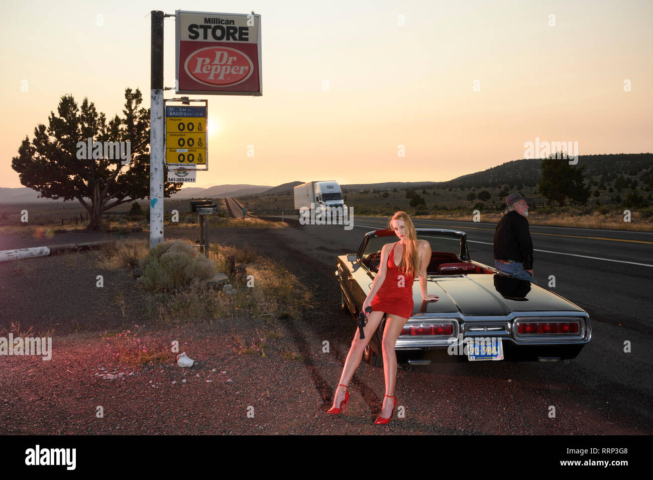 America del Nord, America, americana, Oregon, oregonian, outback, high desert, American Dreamscapes, Outback Blues, T-Bird, Foto Stock