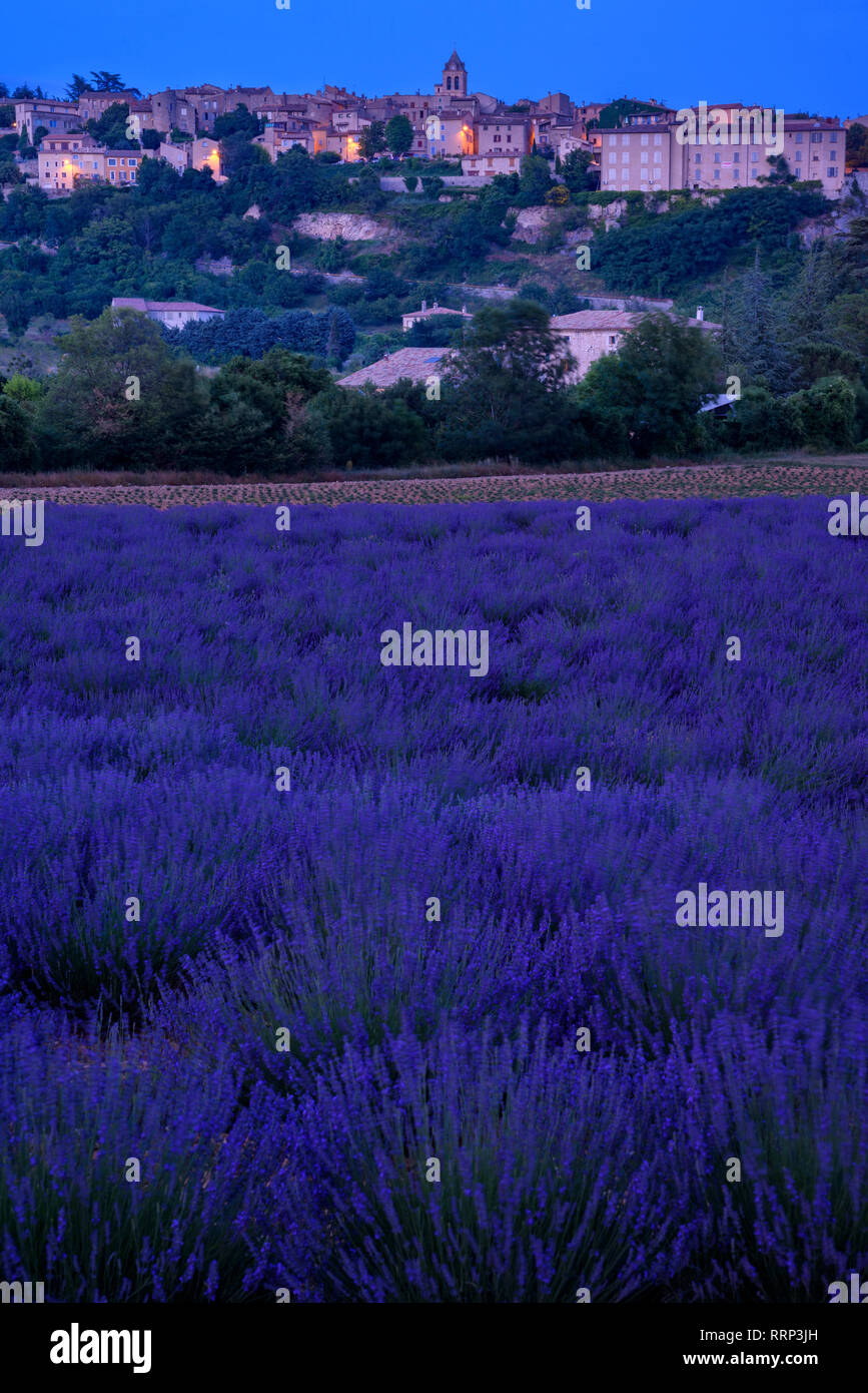 L'Europa, europea, Francia, Provence-Alpes-Côte d'Azur, regione Provenza, Banon Foto Stock