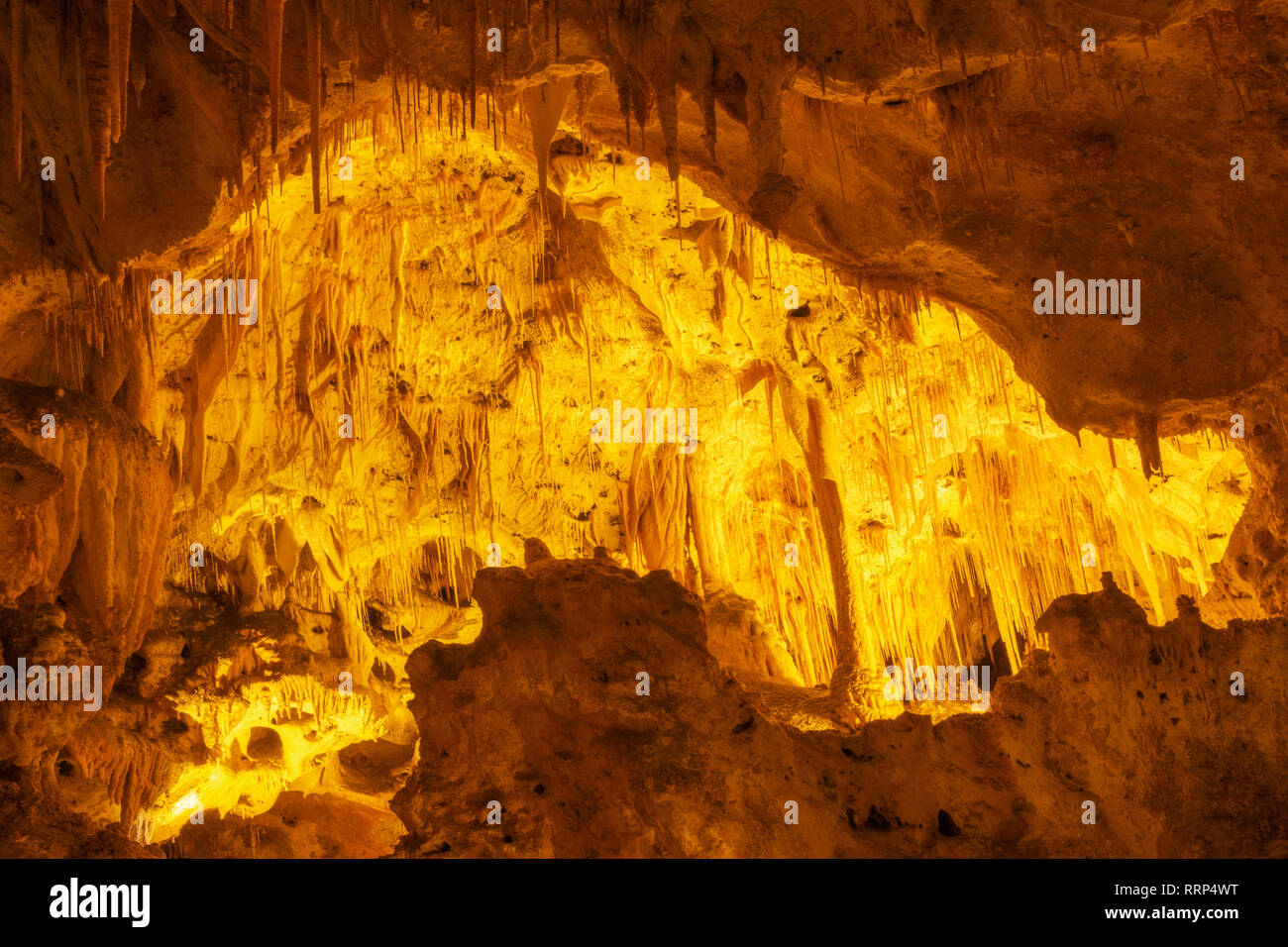 Immagini dal parco nazionale di Carlsbad Cavern in Nuovo Messico Foto Stock