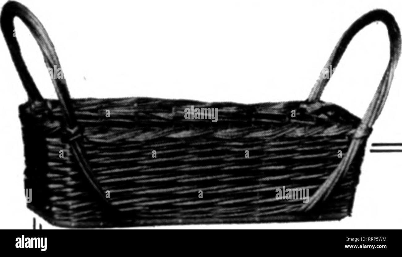 . Fioristi' review [microformati]. Floricoltura. Atto di citazione* per il catalogo = CHICAGO, ill. Ho iiiiiiiiiimiiiiiiiiiiiiiiiiiiiiiiiiiiiiiiiiiiiiiiiiiiiiiiiiiiiiiiiiiiiiiiiiiiiiiiiiiiiiiiiiiiiiiiiiiiiiiiiiiiiiiiiiiiiiiiiiiiiiiiiiiiiiiiiiiiiiiiiiiiiiii menzionare il riesame quando scrivi. Fioristi' frigoriferi. Finestra e portico ceste SELF-watering camicie qualcosa di nuovo il portico e la finestra Cestino diventa spesso rovinato a causa di una fuoriuscita del contenitore. Questo anno abbiamo provveduto a dotare i nostri cesti con un ben noto self- dispositivo di irrigazione, che abbiamo testato e trovato essere tutto ciò che è la rivendicazione Foto Stock