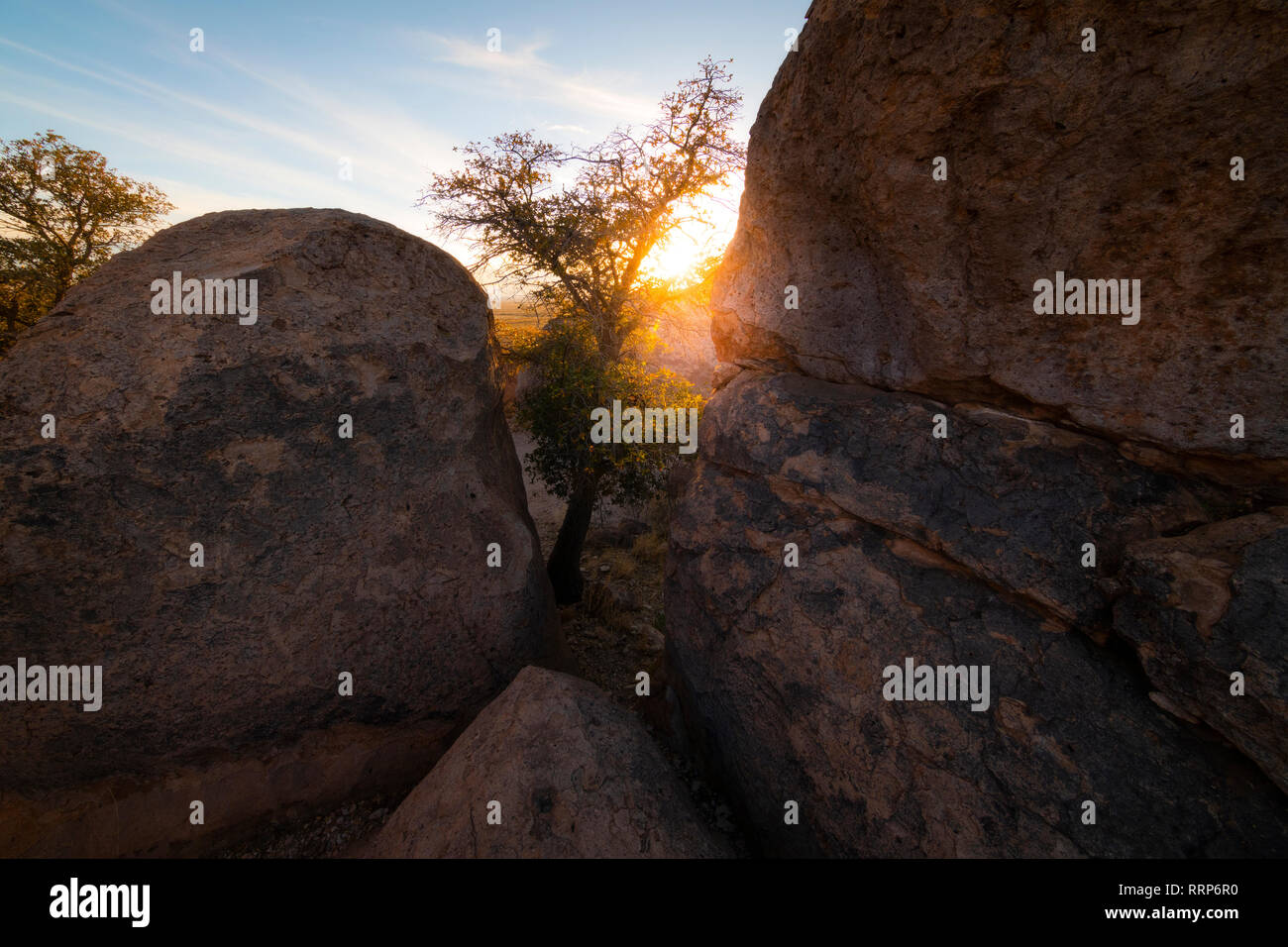 Immagini dalla città di rocce, Nuovo Messico Foto Stock