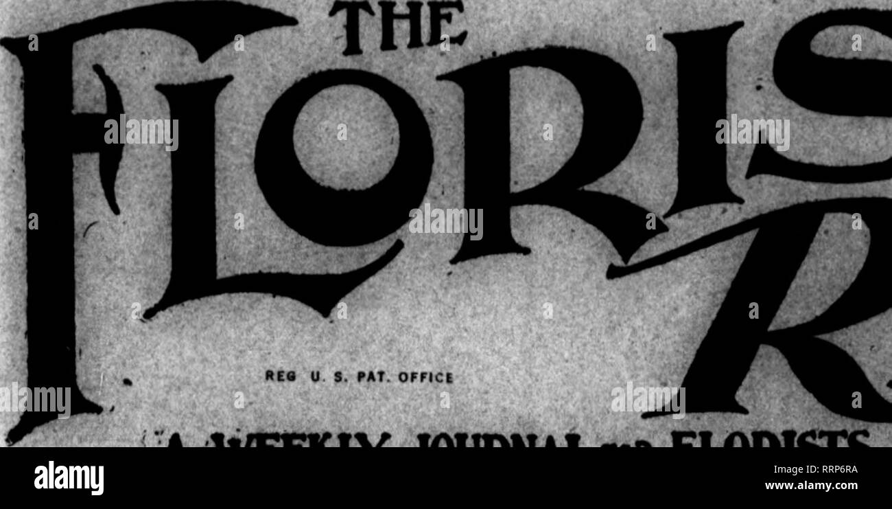 . Fioristi' review [microformati]. Floricoltura. ISTS' UNivERsrrr o fiirvots mw"ai"v lug 3 0 1915 ^BIBV UN VEEKLY UFFICIALE"* FLOIMSrS. SEEDSMEN*™ vivaisti. FL.U&amp;18TS' FUBL.I8UIMO QO.. 520 Caxton Balldlns. SOS DMurbom sud San. CllIOAOO VOL. XXXVI. CHICAGO, luglio 29, 1915. N° 922. MIGNONETTE "" Chicago gigante" ho^H^^^) uno splendido ceppo, cresciuto e attentamente selezionati per un numero di anni dal sig. Alois Frey, Crown Point. Produce grandi, pesanti 8i&GT;ikes che hanno venduto in Chicago, mercato a da 6 a 8 centesimi di euro ciascuna. Pacchetto Commerciale (1000 semi). $1.00; &gt;^-oz., $1.50; 1 oz, $10.00 POINSE Foto Stock