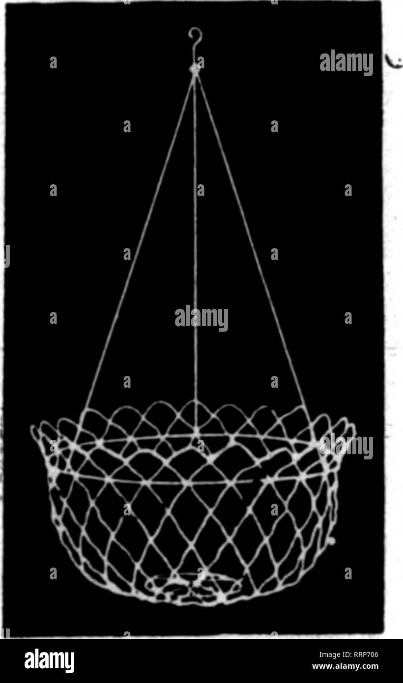 . Fioristi' review [microformati]. Floricoltura. Appendere canestri di 1^4 zincata maglia di filo pieghettato. Nessuna ammenda bind- ing filo a rot. Paintad Gracn 10 di sconto su $5.00 Ordini Per doz. 10 pollici, 6^ pollici profondo $1.50 12 pollici, 7^ pollici profondo 1,85 14 pollici, 8^ pollici profondo 2,40 16 pollici, 9 pollici profondo 3*25 foglio verde muschio, per sacchetto, $2.00 cade città opere filo 451 3d Street, Louisville. KY. Menzionare il Brlew quando yon scrivere. ^ Budlong E Bine VaOey nastro menzionare il Rerlew quando /sulla scrittura. SPHAGNUN N0SS.a1s$9.00 m. MURPHY 32" M.H St CINCINNATI, 0. un attraente store e una buona visualizzazione di stoc Foto Stock