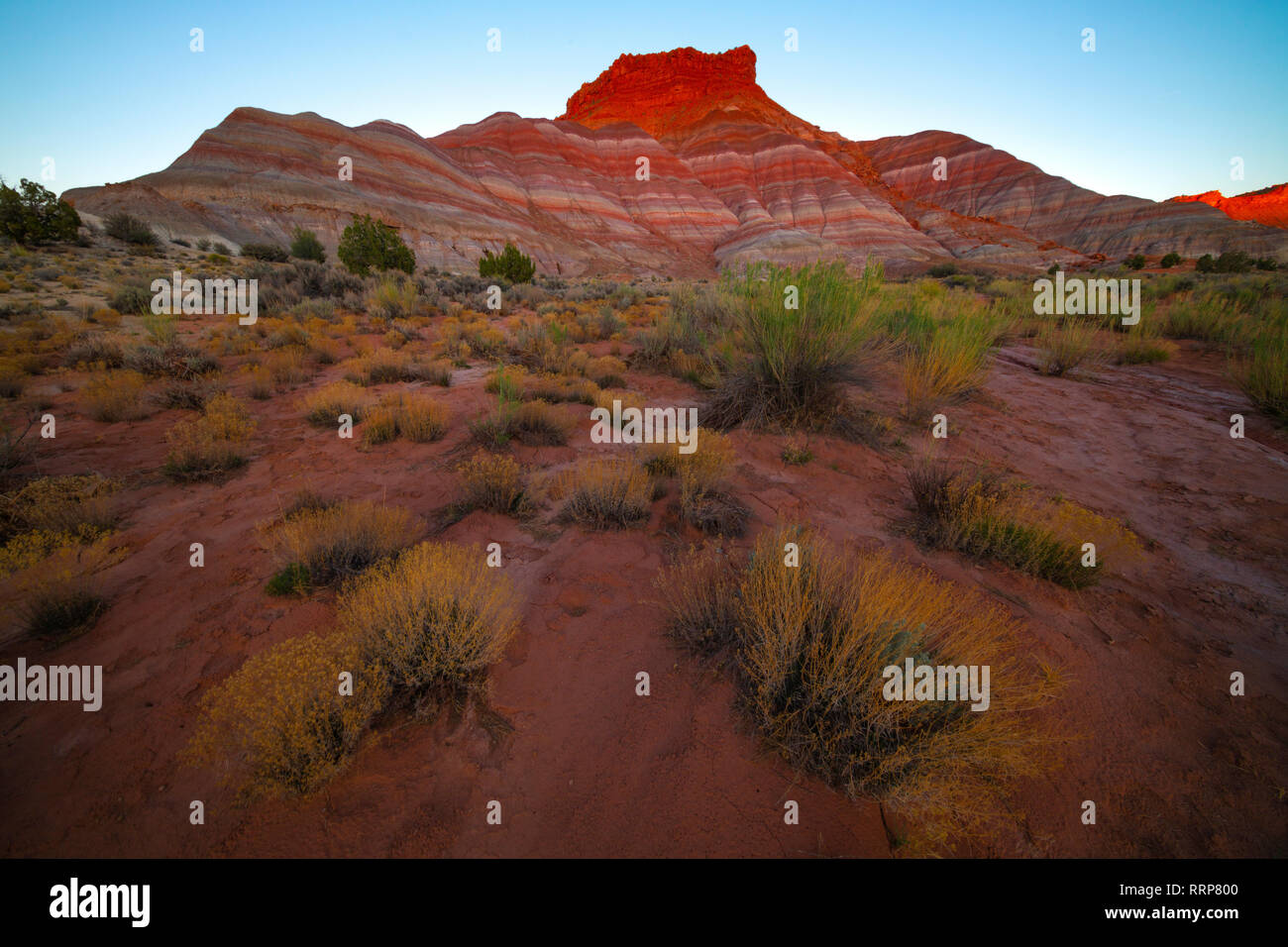 Immagini da Paria Ghost Town colline dipinte nel Grand Staircase-Escalante monumento nazionale nel sud dello Utah Foto Stock