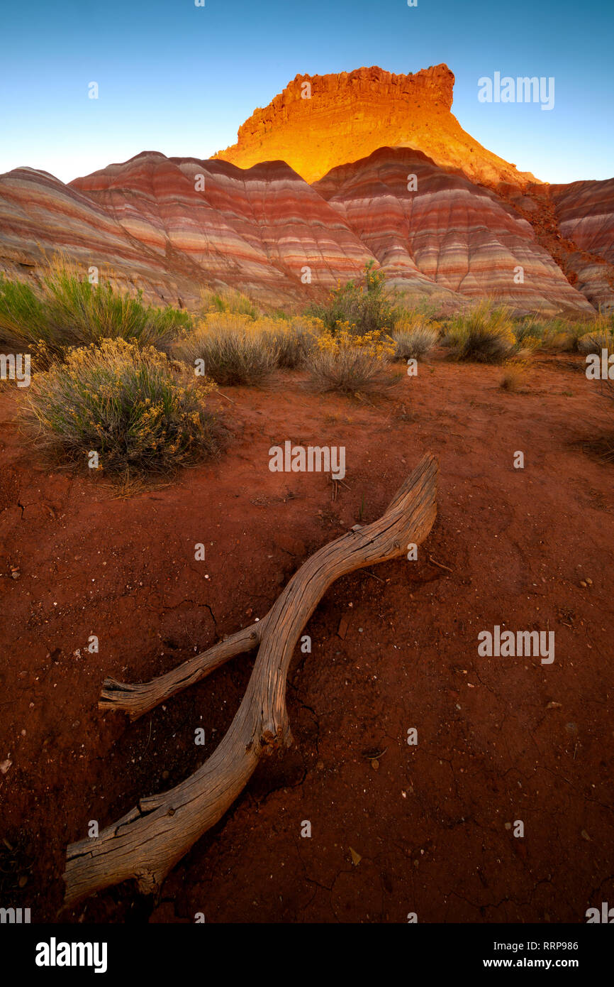Immagini da Paria Ghost Town colline dipinte nel Grand Staircase-Escalante monumento nazionale nel sud dello Utah Foto Stock