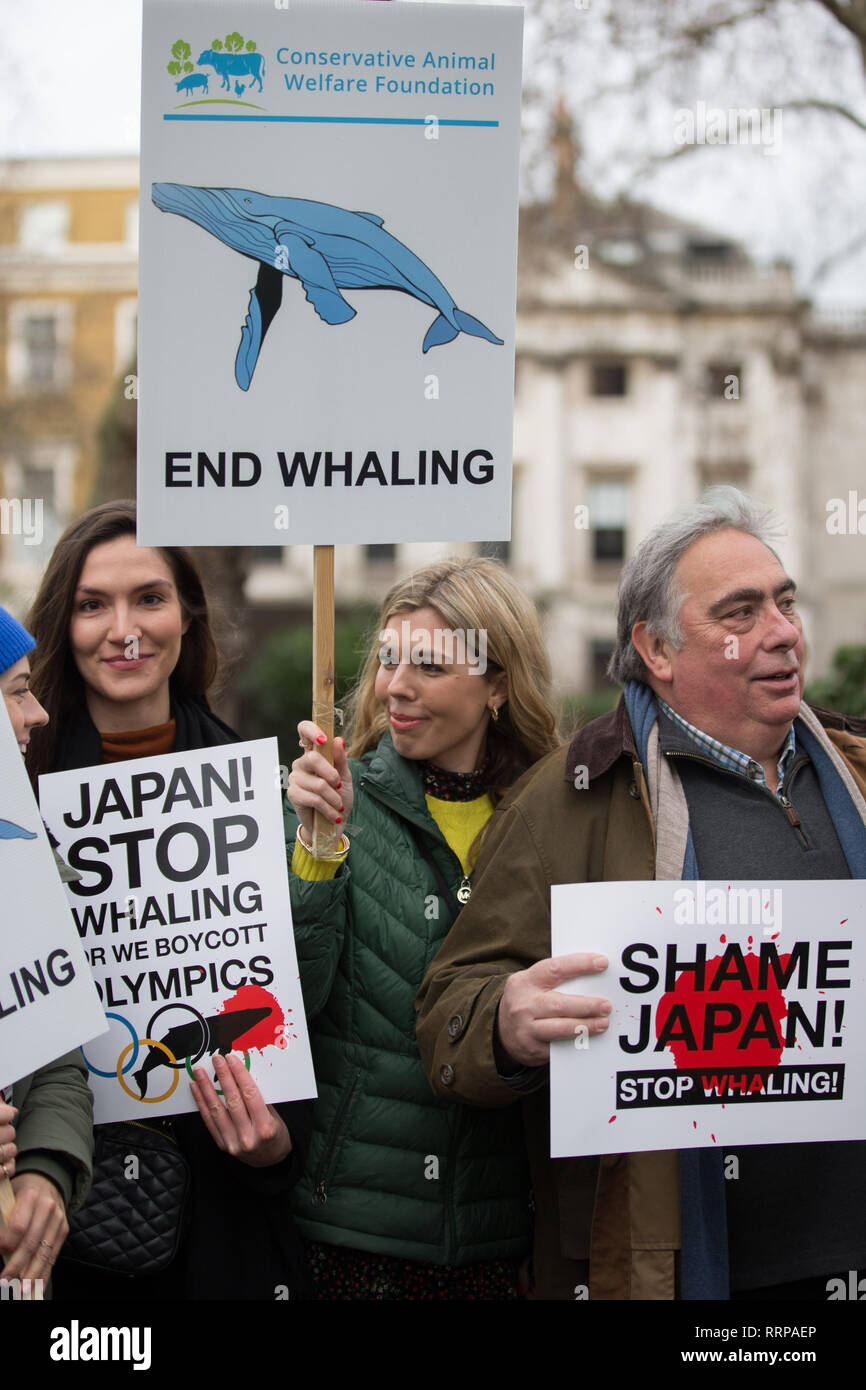N. di caccia alle balene marzo all'Ambasciata giapponese, protesta contro laccati. decisione di ritirarsi dalla Commissione baleniera internazionale (IWC) e riprendere la caccia alle balene a fini commerciali. Dotato di: Carrie Symonds dove: Londra, Regno Unito quando: 26 Gen 2019 Credit: Wheatley/WENN Foto Stock