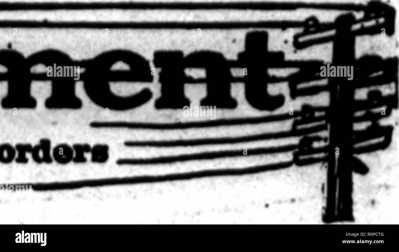 . Fioristi' review [microformati]. Floricoltura. I fioristi' Riesaminare Dbcembbb 16, 1916.. ni" fioristi quali carte su appMtr tho pacos canrlnc questo hsad, ar* pravarad a tutti ordars -- da othar fioristi per dalivanr locale su tlia liasls usuale. CIEVELANI •••lllL*"k ). H. GASSER COnrANY EUCLID AVENUE W* crescere tha baat di ovarything In FIORI RECISI LA Cleveland ' Fiori recisi Co. CLIVKLAND, OHIO ^nulla riempire i vostri ordini per disegni o Cat fiori nel nord Ohio. CLEVELAND JONES-RUSSELL andare. Fiori 1284-1308 Eaclid Avonuo membri fioristi* Telecxaph Dellverx ass'n. W^e possibile fino a quando i vostri ordini al giorno o scheda di interfaccia di rete Foto Stock