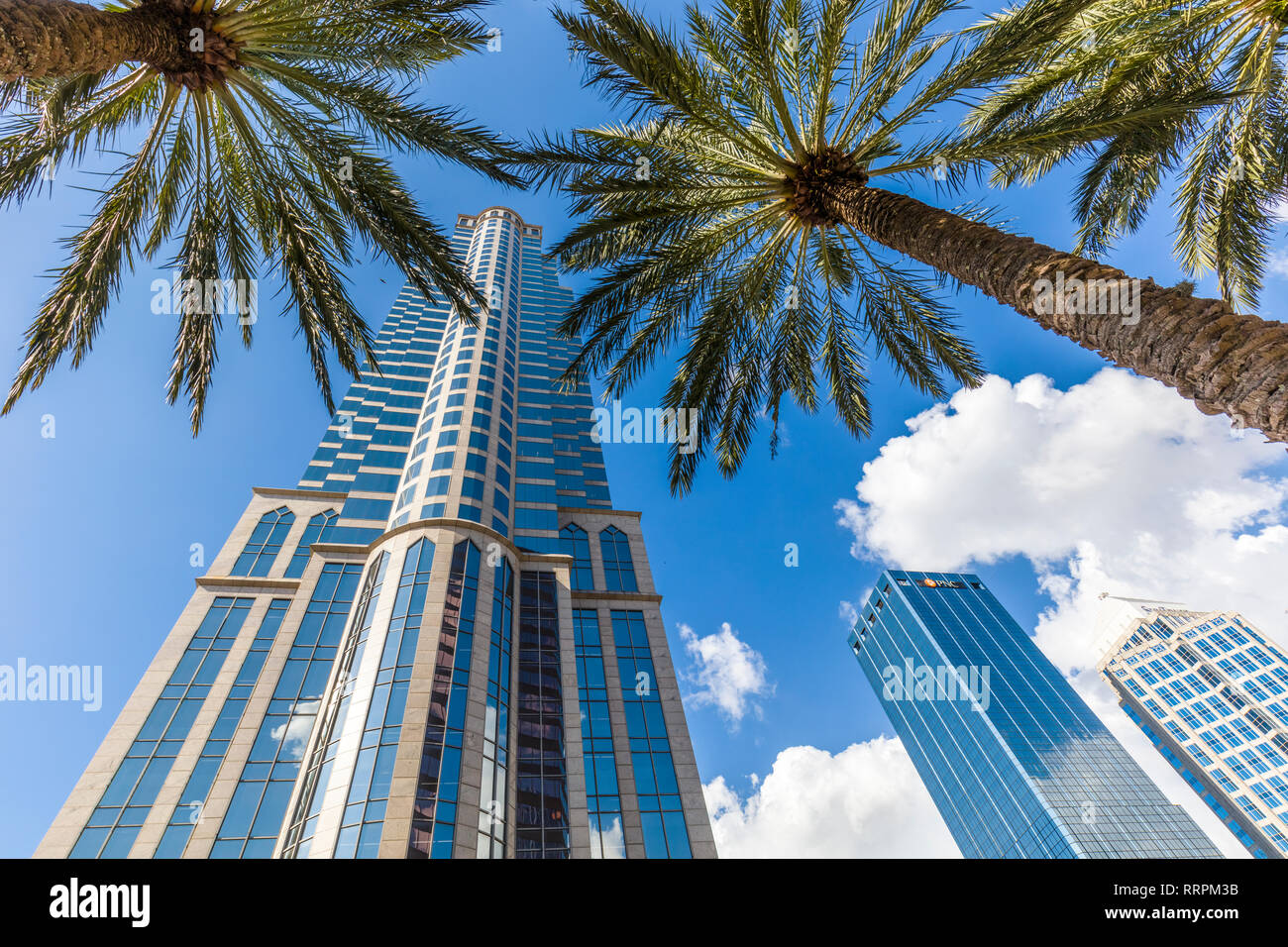 Edifici alti in downtown Tampa Florida su un luminoso giorno di sole Foto Stock