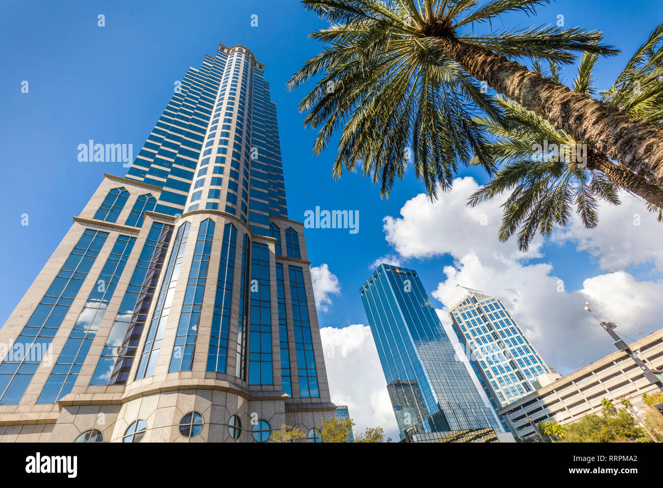 Edifici alti in downtown Tampa Florida su un luminoso giorno di sole Foto Stock