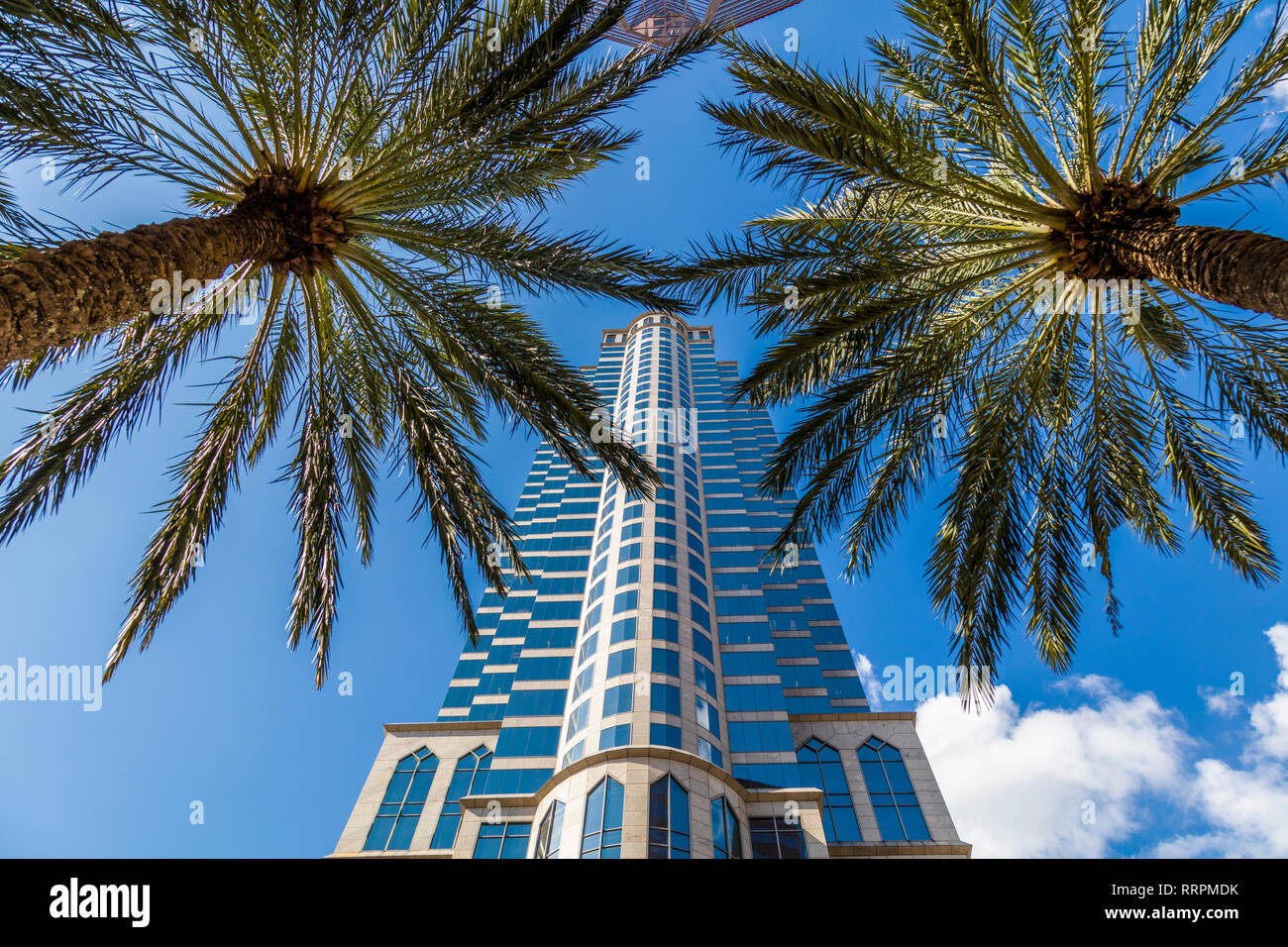 Edifici alti in downtown Tampa Florida su un luminoso giorno di sole Foto Stock