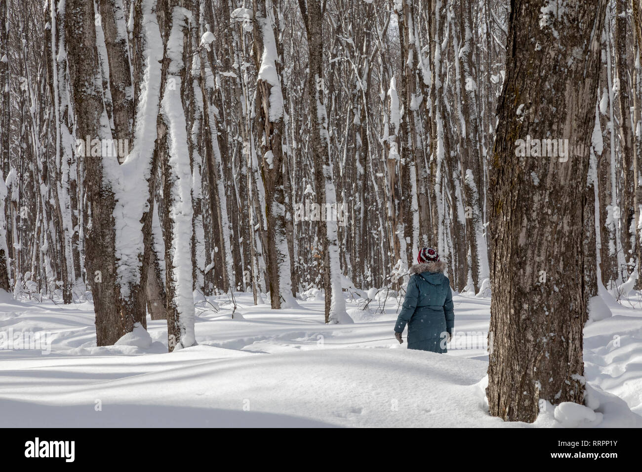 Eben Junction, Michigan - Susan Newell, 70, escursionismo nella roccia River Canyon deserto di Hiawatha National Forest nella Penisola Superiore del Michigan.. Foto Stock