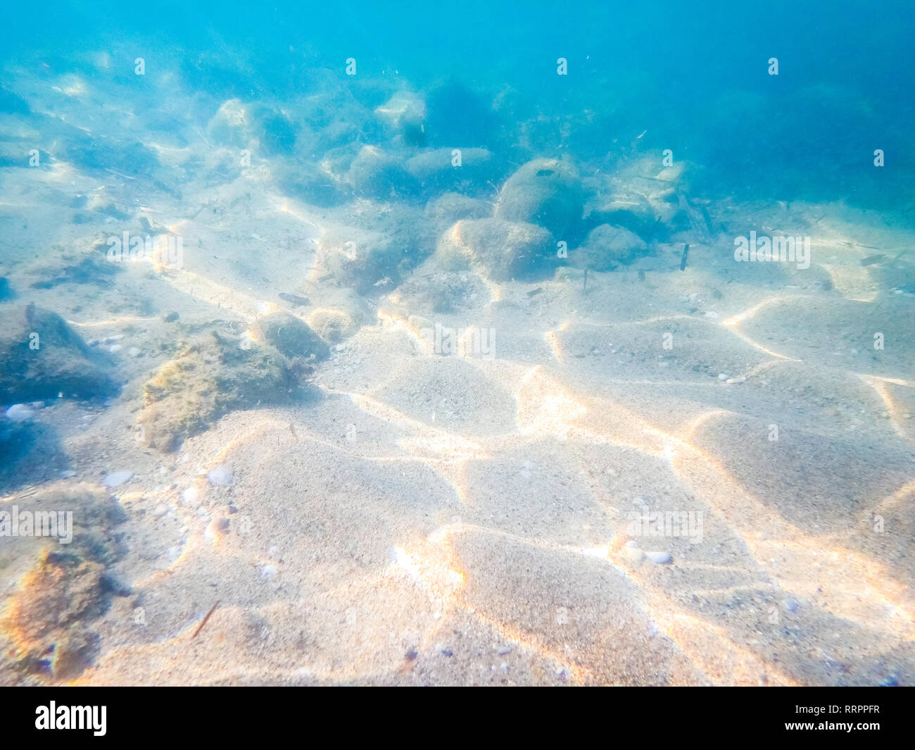 Riprese subacquee di mare piano inferiore - Immagine di ocean floor - Fotografia subacquea scattata Foto Stock
