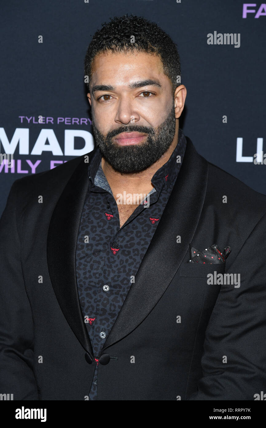 New York, Stati Uniti d'America. Il 25 febbraio, 2019. David Otunga assiste il NY speciale proiezione per Tyler Perry's "Madea funerale di famiglia' al teatro SVA il 25 febbraio 2019 nella città di New York. Credito: Erik Pendzich/Alamy Live News Foto Stock