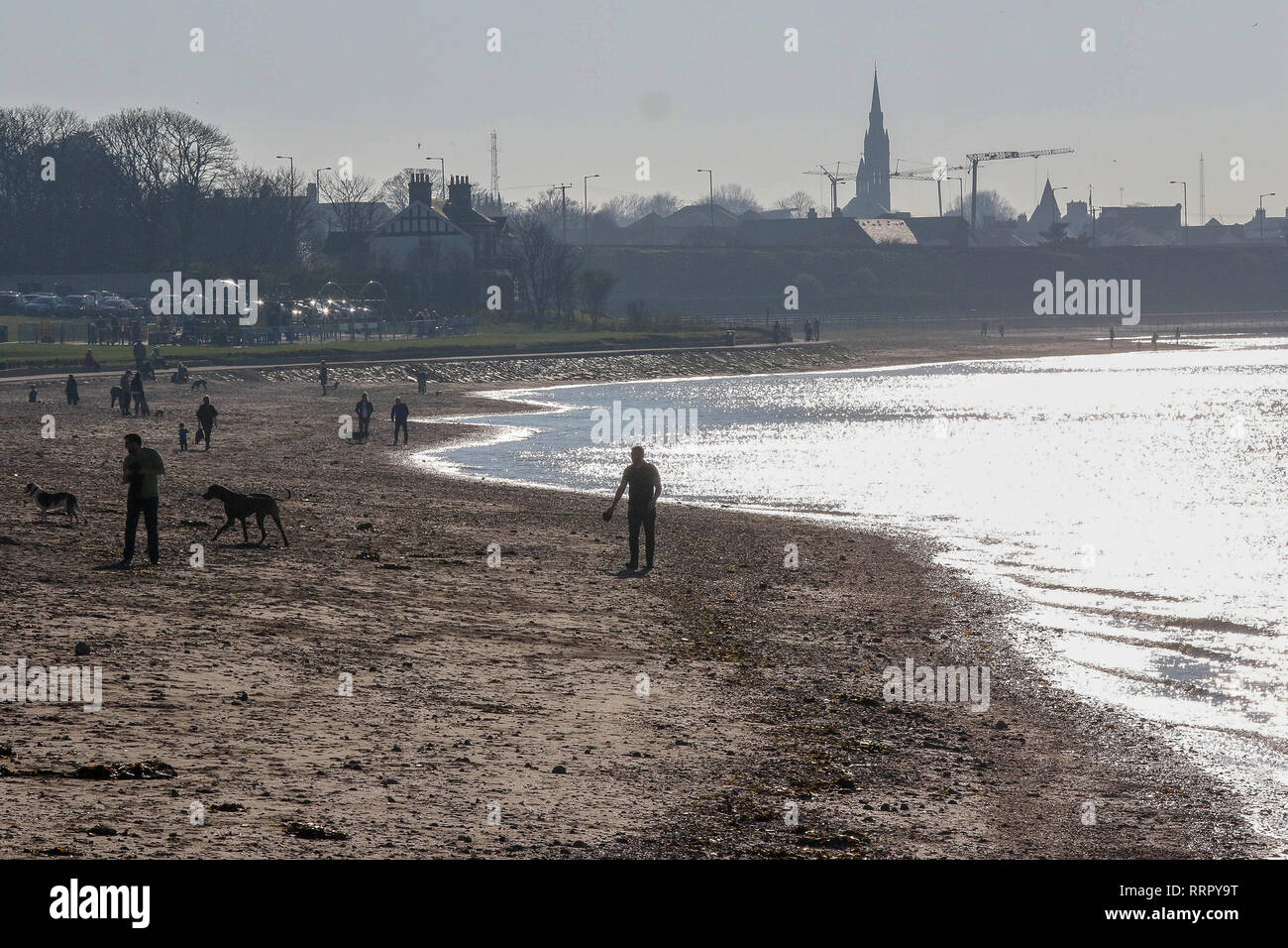 Holywood, County Down, Irlanda del Nord. 26 febbraio 2019. Tempo del Regno Unito - il sole glorioso sulla costa di Belfast Lough a Holywood. Un sacco di persone che si prende in questo eccezionale tempo tardo invernale con temperature intorno a 16 C. Credit: David Hunter/Alamy Live News. Foto Stock