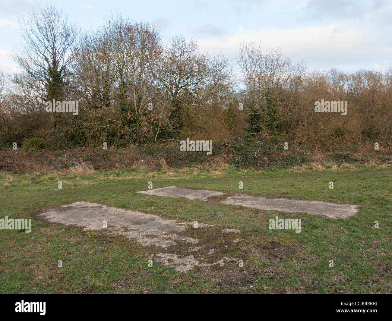 Calcestruzzo cricket campo di pratica Foto Stock