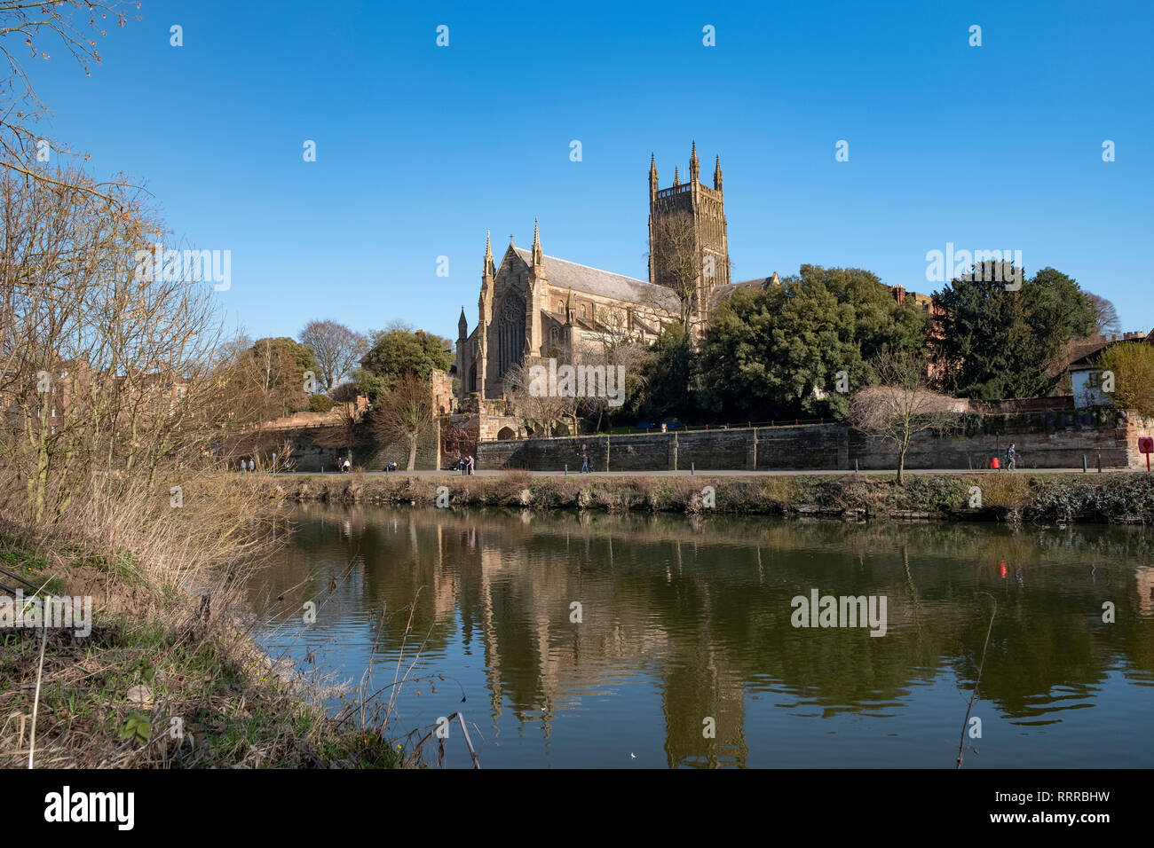 La gloriosa cattedrale di Worcester sulle rive del fiume Severn, Worcestershire, Regno Unito. Fiori di Primavera e sole e crystal clear luce d'inverno. Foto Stock