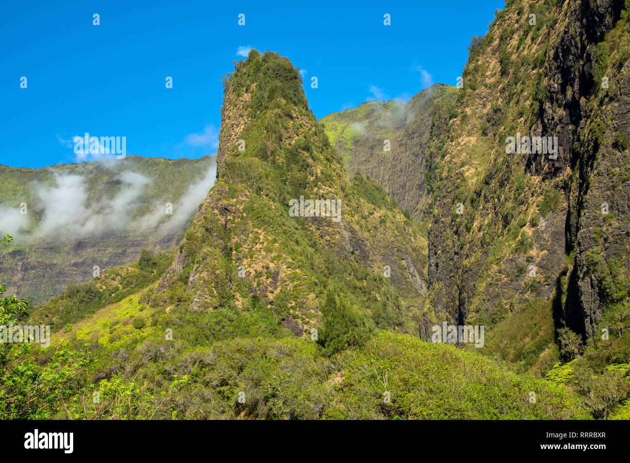 Sud Pacifico, STATI UNITI D'AMERICA, Hawaii, Hawaiian, Isola, Maui, Iao Valley State Park Foto Stock