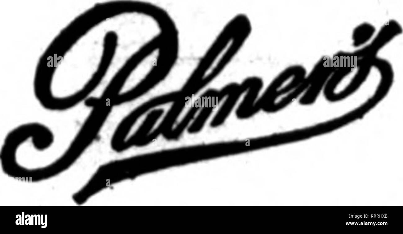 . Fioristi' review [microformati]. Floricoltura. CRIC PA., Kl ordini attentamente e prontamente riempita. Hoflfmann, come numerosi clienti hanno chiamato per il sig. von Hoffmann al telefono la scorsa settimana. Egli è molto preso dal suo nuovo titolo. J. r. Ammann, vice-presidente-eletto della American Società di garofano, fermati sul suo modo home dalla convenzione a Buffalo e ha riportato una bella mostra e un più piacevole il tempo con tutti i vecchi conoscenti e molti di quelli nuovi. La A. Brix Floral Co., su San Louis avenue, segnala un insolitamente pesante de- me per i funerali il lavoro la settimana scorsa al- anche se in altre linee è un po' lento. Foto Stock