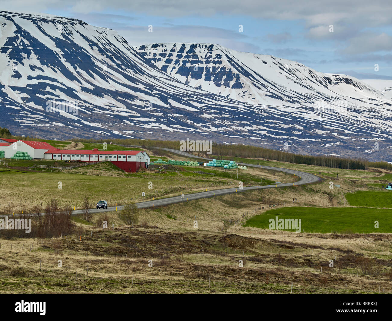 Farmland fuori rotta uno, Eyjafjordur, Nord Islanda Foto Stock