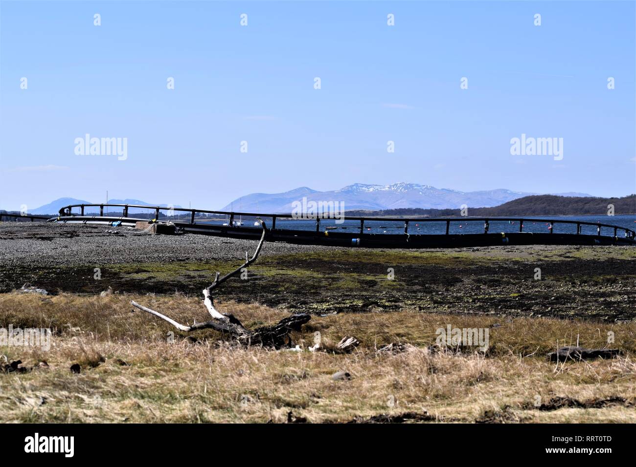 Flottante gabbia di pesce delle tubature HDPE costruzione per l'allevamento del salmone, in costruzione sulle rive di Loch Creran, Argyll. Magnifico cielo blu. Foto Stock