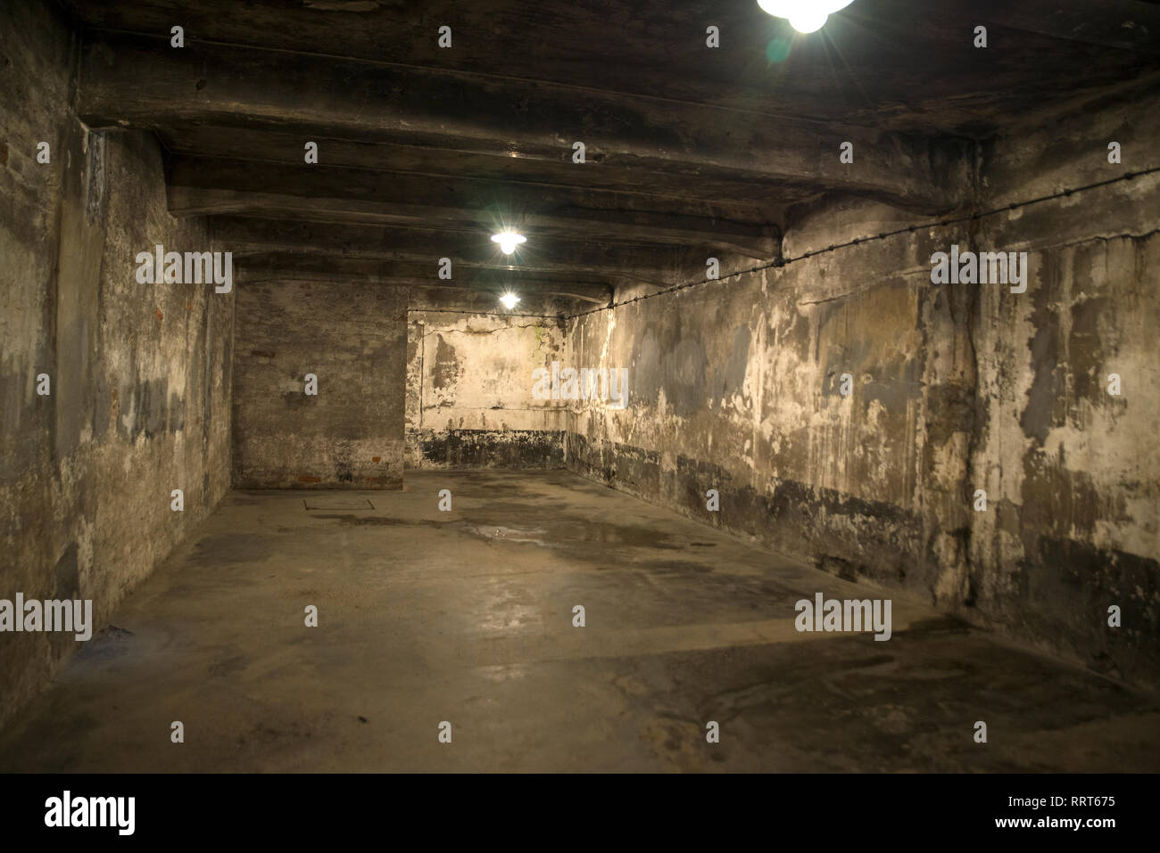 La camera a gas, il campo di concentramento di Auschwitz, Polonia Foto Stock