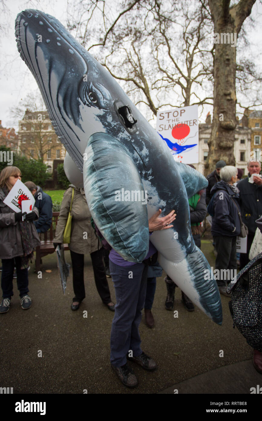 N. di caccia alle balene marzo all'Ambasciata giapponese, protesta contro laccati. decisione di ritirarsi dalla Commissione baleniera internazionale (IWC) e riprendere la caccia alle balene a fini commerciali. Dotato di: atmosfera, vista in cui: Londra, Regno Unito quando: 26 Gen 2019 Credit: Wheatley/WENN Foto Stock