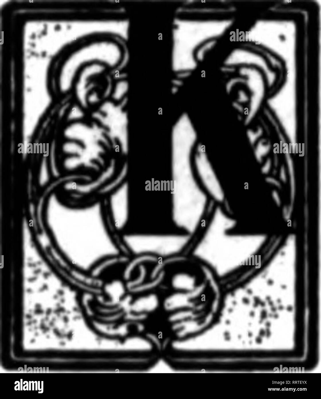 . Fioristi' review [microformati]. Floricoltura. •V f*' Tf^JfimT^"I^ "W-' -^r^-"- r; i'i&GT;,"i",i"vf'.i'.&LT;?;"."Mvi"."f'i'ri""'&LT;'^ yjli!llll|illlllllllllllllllll|liiMlilllllllllllllll" !k'V"'.'l'.'V.MV"""M'.W'."""""."tVfi,'r.l'a-^* HEDGE TEMPO È s"^^ ho il tempo del raccolto estate indiana meteo si ha per i fiori recisi del commercio, ma splendido per la piantagione di siepi. Il noioso giorni di autunno può essere reso dollar giorni ^y il fioraio che avrà la possibilità di sviluppare questo lucroso e legittimo side-line. Cosa piantare e come pianta se, quanto costa e perché ne vale la pena, si dicono Foto Stock