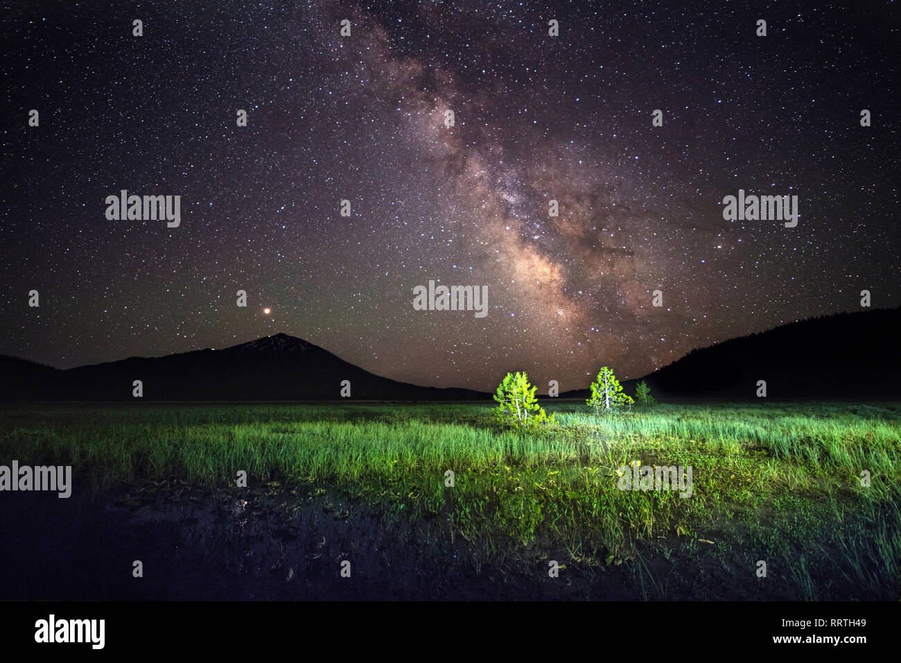 America del Nord, America, STATI UNITI D'AMERICA, americano, Pacific Northwest, Central Oregon, Oregon, Deschutes National Forest, piegare, scintille Lago Foto Stock