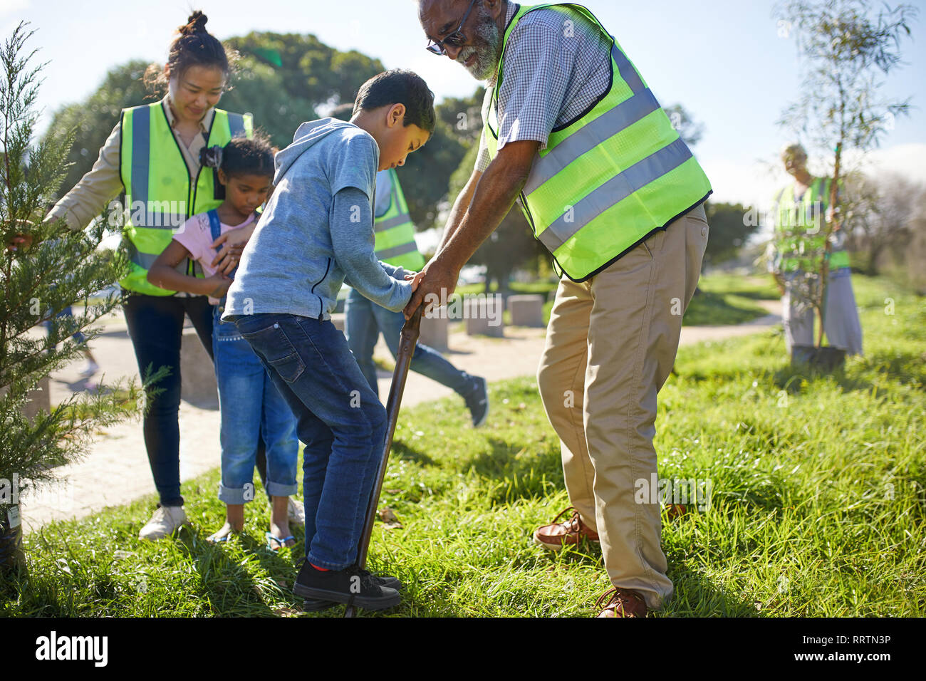 Multi-generazione volontari di famiglia a piantare alberi nel soleggiato parco Foto Stock